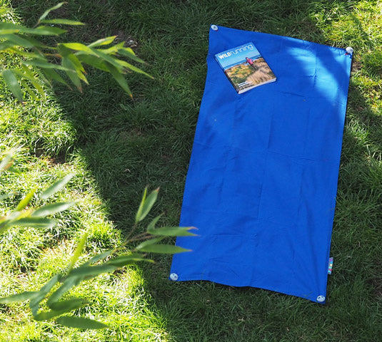 Blue Signature Picnic Blanket